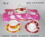 220CC  CUP & SAUCER